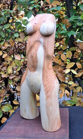 Vrouwelijke torso taxushout